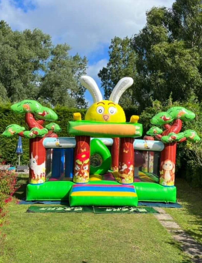 La Forêt de Mr Lapin